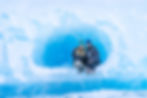 a couple sitting in a glacier cave surrounded by blue glacier ice