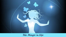 The Magic in Life