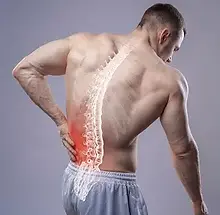lower-back-pain.webp