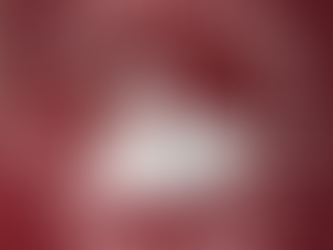 Newsletter Friday 7th November