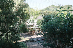 DSCF5633