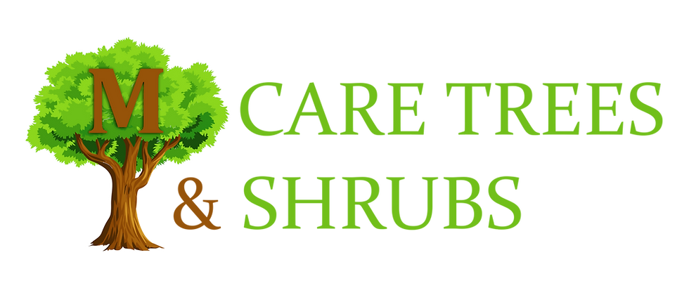 Small - Website Logo Final .png