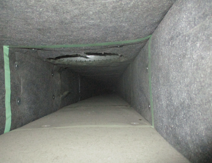 New before and after 9 .png