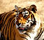 Indo Journeys Pvt. Ltd | Travel |