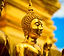 Indo Journeys Pvt. Ltd | Travel