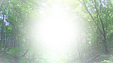 背景2_edited_edited.png