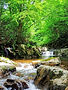 41897_0.jpg
