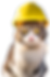 防災ヘルメットを被っている猫