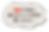 アセット 5_2x.png
