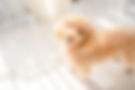 23728176_m.jpg