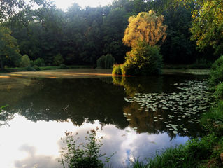 Partnernachtangeln – Grill & Chill an den Waldteichen