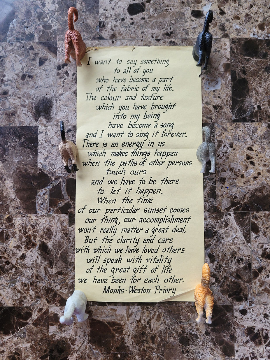 Poem with Cat Butts.jpg