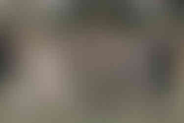 cheap wedding photographers near me