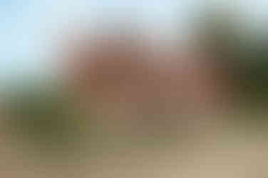 Chalford Manor wedding photographer