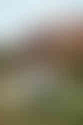 Harrow wedding outdoor photography