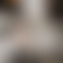 neutral tone family photos