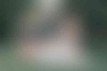 wedding photos party