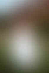 Harrow Weald Hotel wedding photos