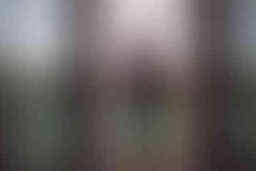 photographer near me for wedding