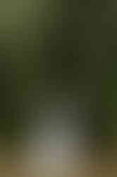 Garden wedding photos Oxfordshire