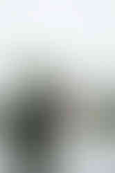 Richmond registry wedding photography