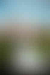 Richmond upon Thames wedding photography