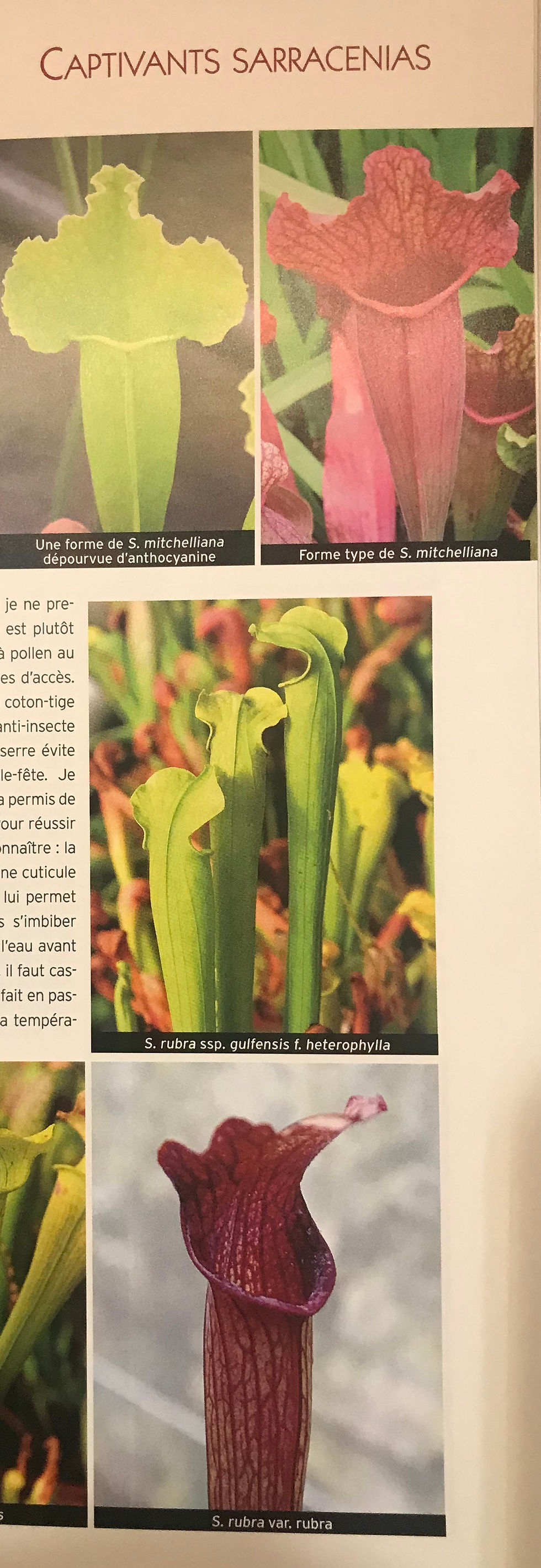 Miniature : Hommes et Plantes N°114