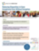 Hennepin_ReducingDisparities_ppt1 (3).jp