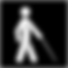 Blind Low Vision.png