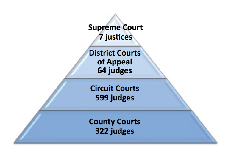 County Judges What Do They Do 