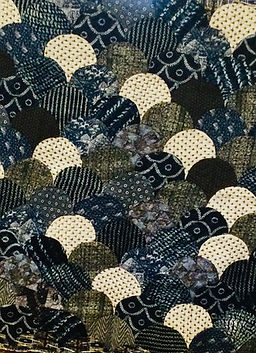 indigo fans jan 29 (1).jpeg