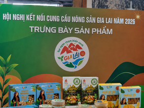 THE JOURNEY TO BRING AGRICULTURAL PRODUCTS FURTHER: A "PRACTICAL" TRIP OF HOANG MINH AGRICULTURE AT THE GIA LAI SUPPLY - DEMAND CONNECTION CONFERENCE 2026