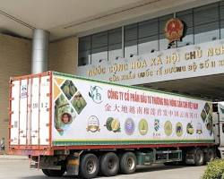 China Spends Nearly $1.5 Billion on Vietnamese Agricultural Imports – A Breakthrough Opportunity for Hoang Minh Agri