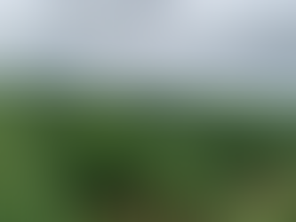 NÂNG TẦM NÔNG SẢN GIA LAI: CHIẾN LƯỢC "VÀNG" ĐỂ TĂNG GIÁ TRỊ XUẤT KHẨU – GÓC NHÌN TỪ NÔNG SẢN HOÀNG MINH