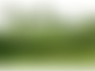 Hướng đi xanh của du lịch nông nghiệp, nông thôn