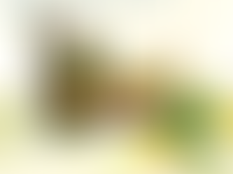 VỊ CHUA TINH TÚY TỪ RỪNG ĐẠI NGÀN – GÓI GỌN TRONG 5 PHÚT CHUẨN VỊ "MẸ NẤU"