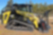 ASV RT-135.jpg