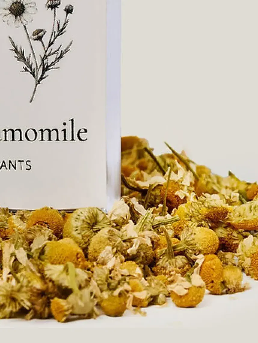 Premium Whole Flower Greek Chamomile Loose Leaf Tea - Sacred Wisdom Foods Artisanal Herbal Blend