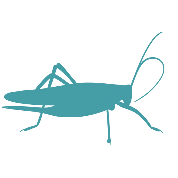 Cavalletta _edited.png