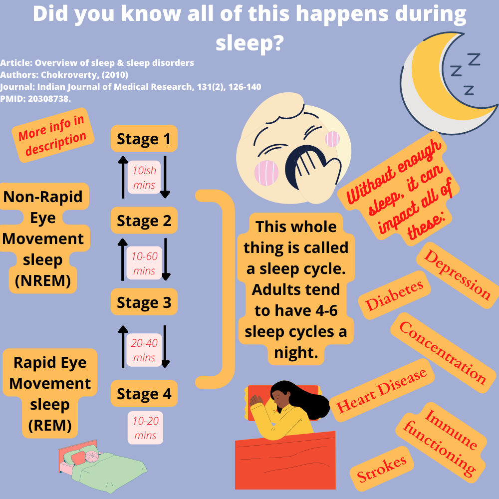 Did you know all of this happens during sleep? content media