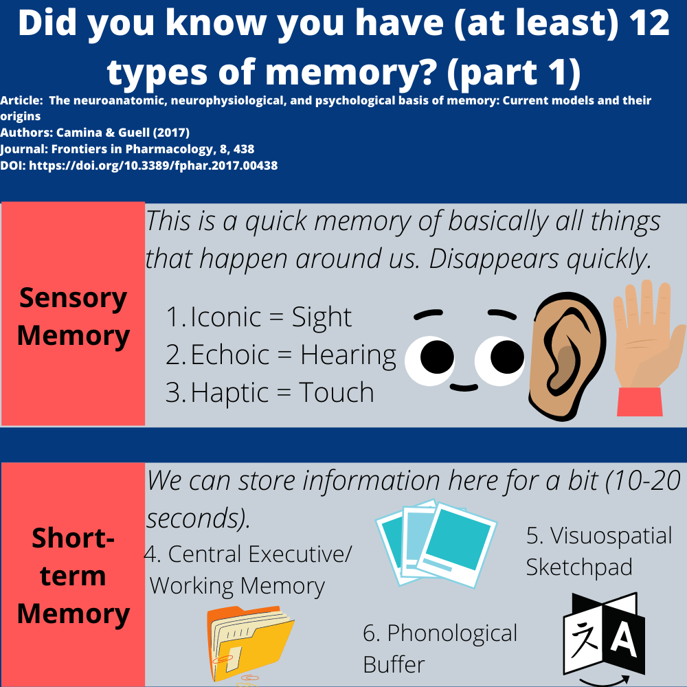 Did you know you have (at least) 12 types of memory? content media