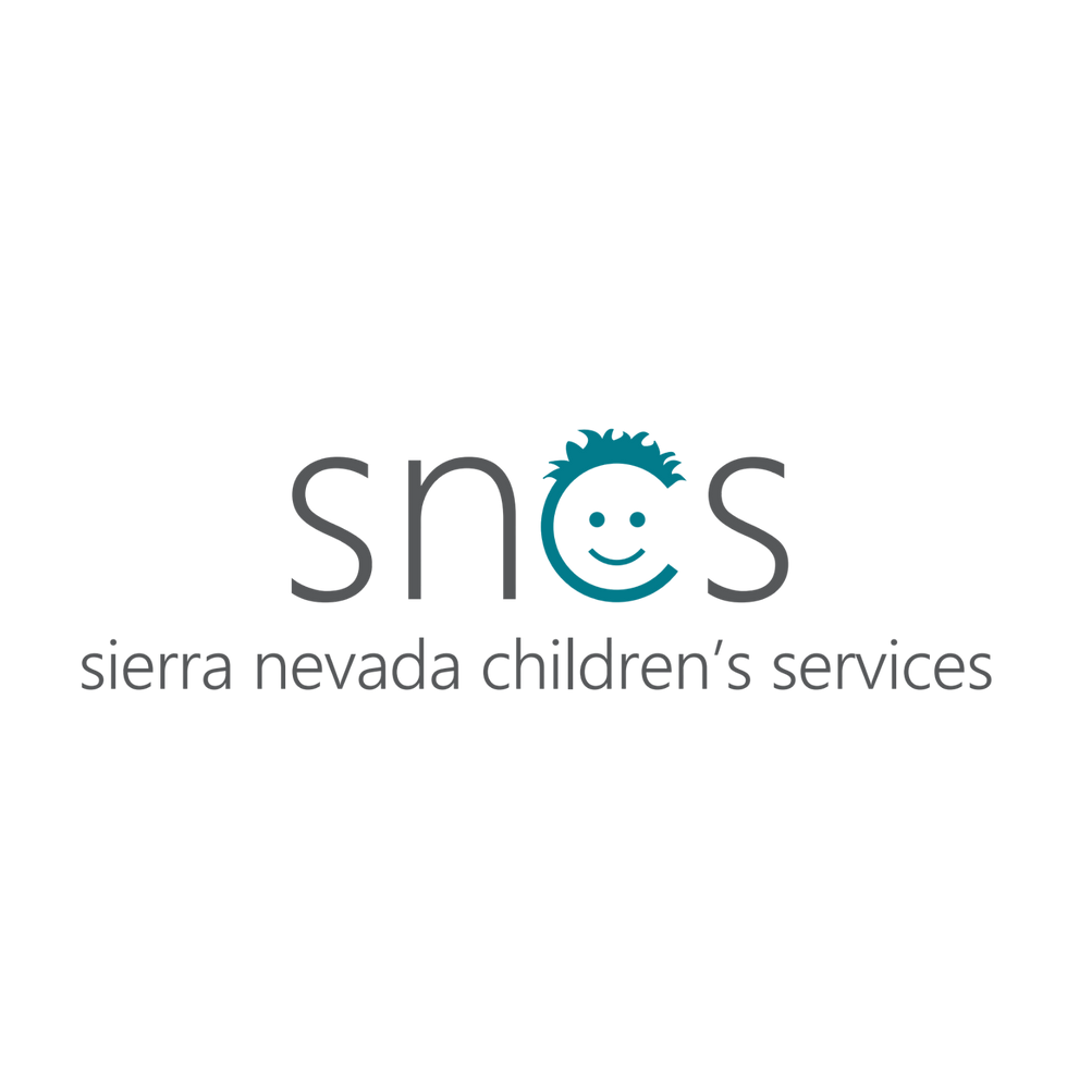 sncsteallogo.png