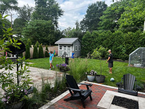 Take Back Your Backyard