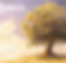 888ec2_33d5e908ff9d4cf2b25665490d29bdaf_