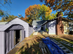 Purple House Side Yard and Garage