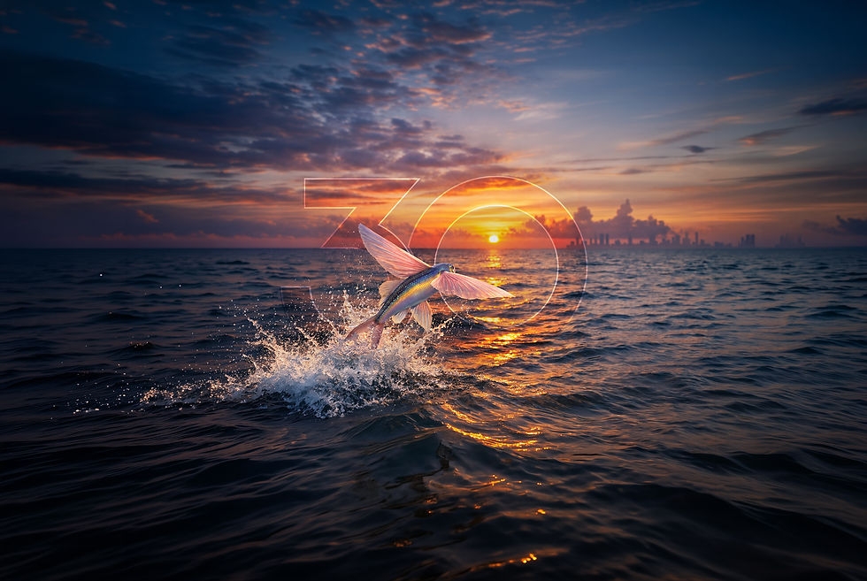 Home-Flying-Fish-2026-2.jpg