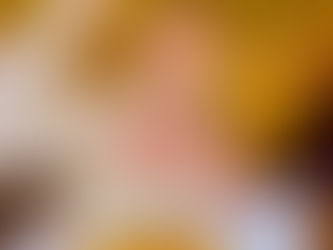 Mini Guide to Madison, Wisconsin: 7 Spots to Visit