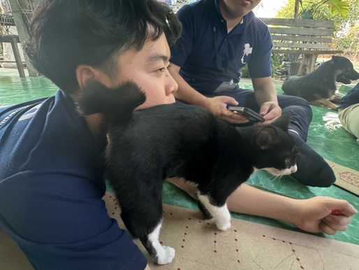 2025年 春渡航 5日目🐘