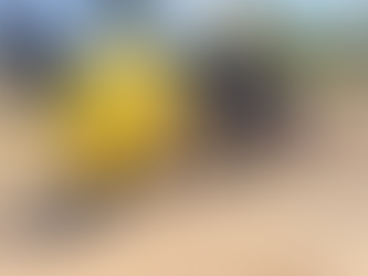 2024年 夏季支援隊2日目