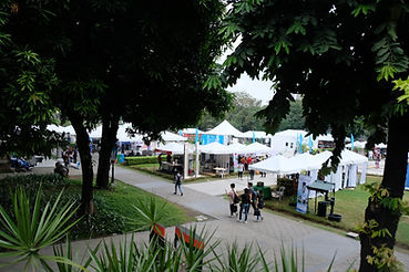 DSCF7962.JPG